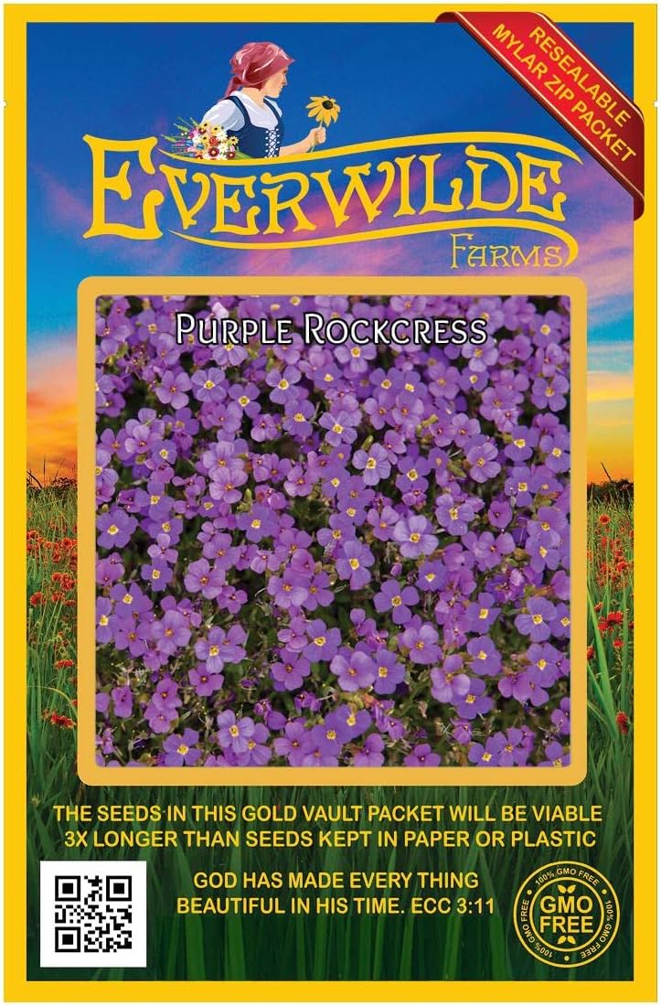 Everwilde Farms - 1/4 Lb Purple Rockcress Wildflower Seeds - Gold Vault