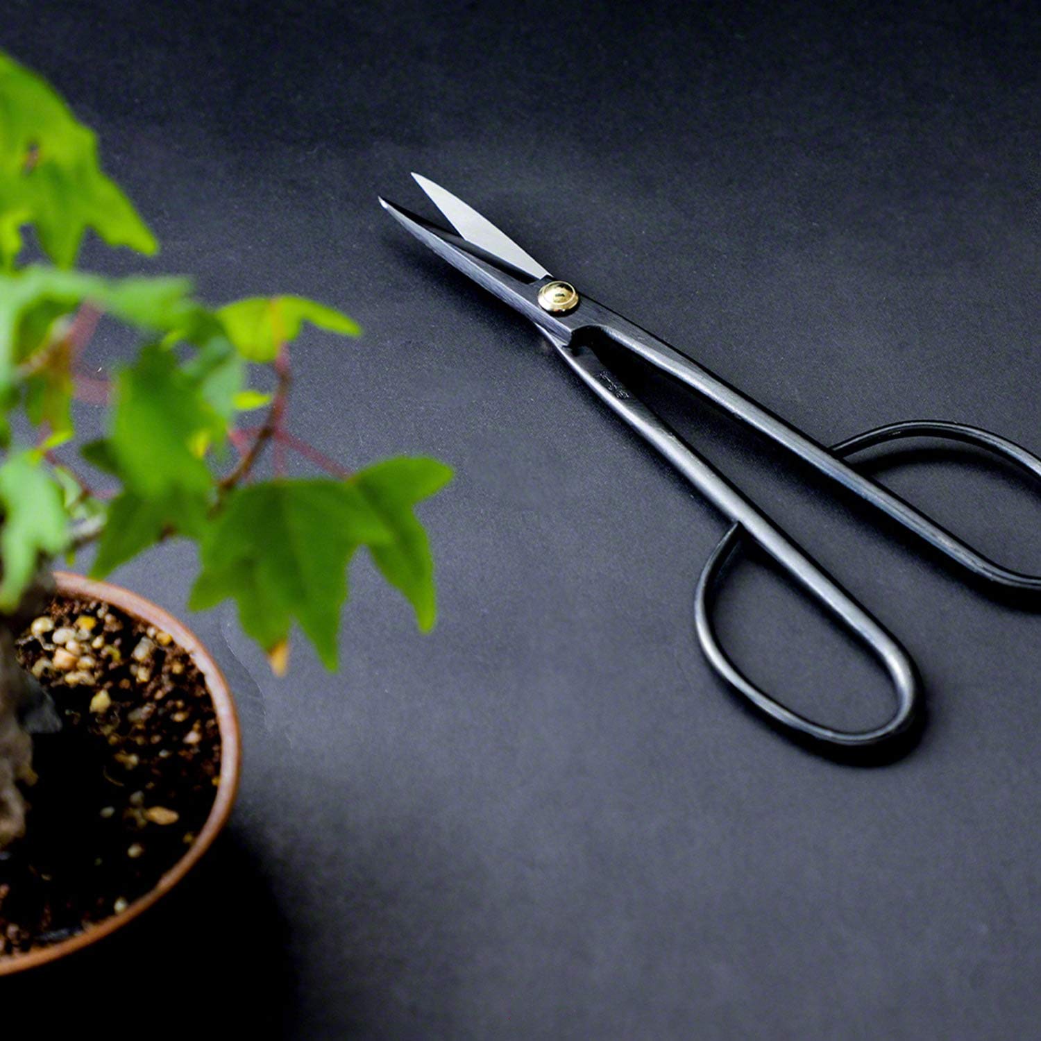 Wazakura Japanisches Bonsai-Trimm-Pflege-Set, Hergestellt in Japan – Twig Bonsai Schere 210 mm + Harz & Rost Radiergummi Geschenkbox