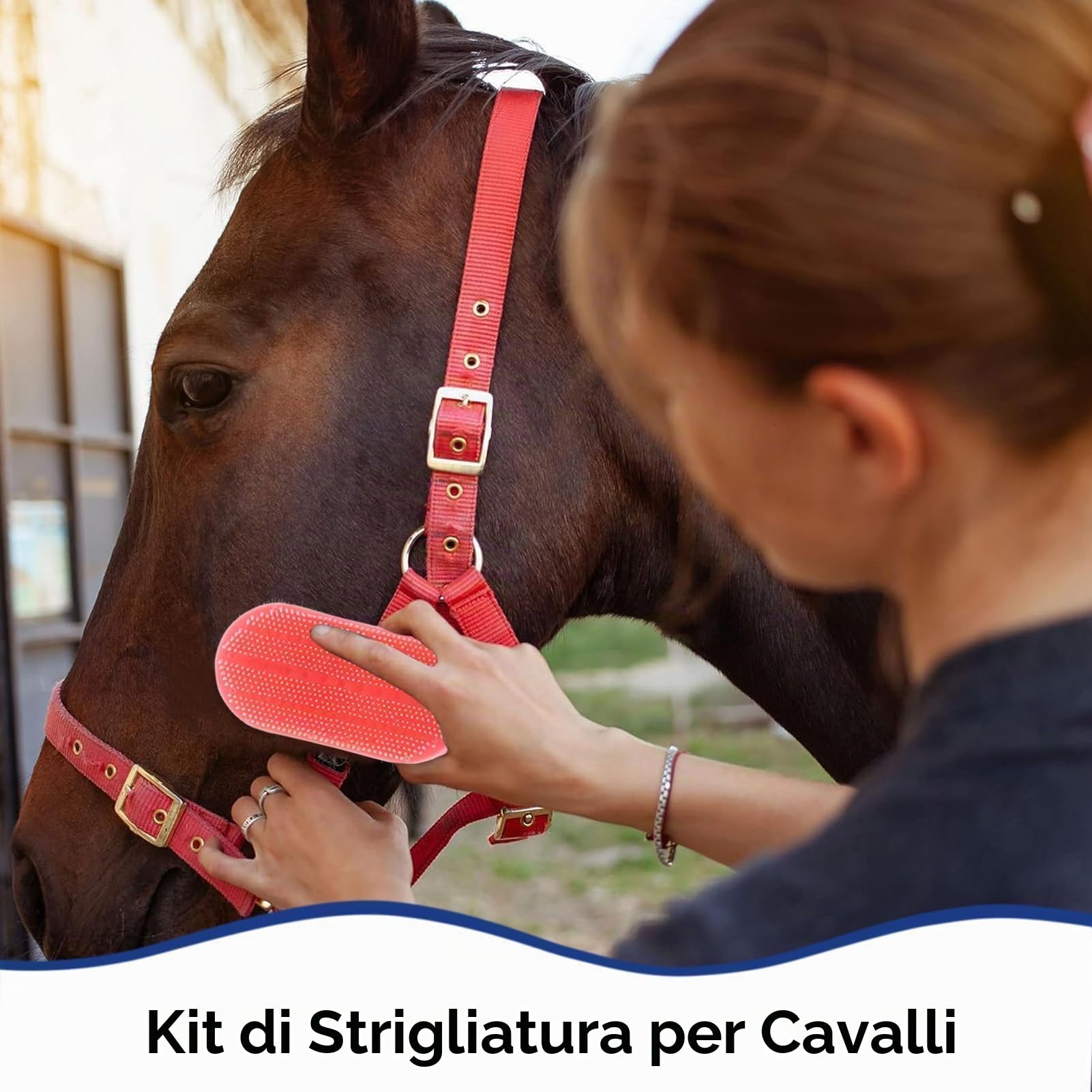 10 Pezzi Kit Per Tolettatura del Cavallo, Set di Forniture Per Tack Room Set di Spazzole Per Cavalli Forniture Per Il Bagno del Cavallo Per Cavalieri Principianti