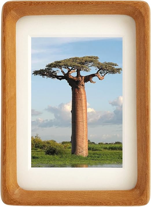 CrossROBBIN Hand Crafted Natural Wood Picture Frames Real