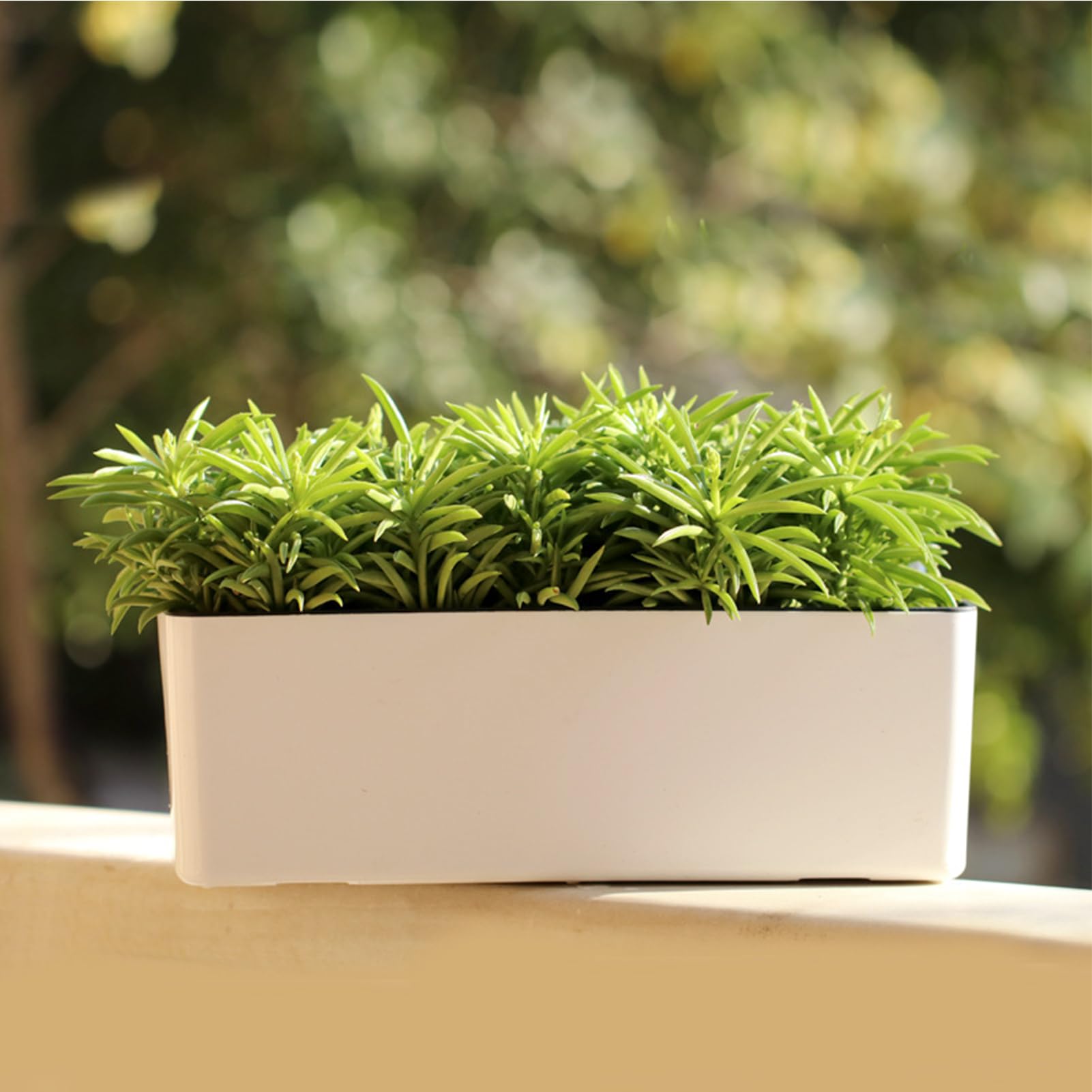 Pot pour d'intérieur Pot de Fleurs avec système d'auto-arrosage pour | Pots à arrosage automatique Pour entrée, salon, intérieur, extérieur, vacances, balcon, rebord de fenêtre, patio