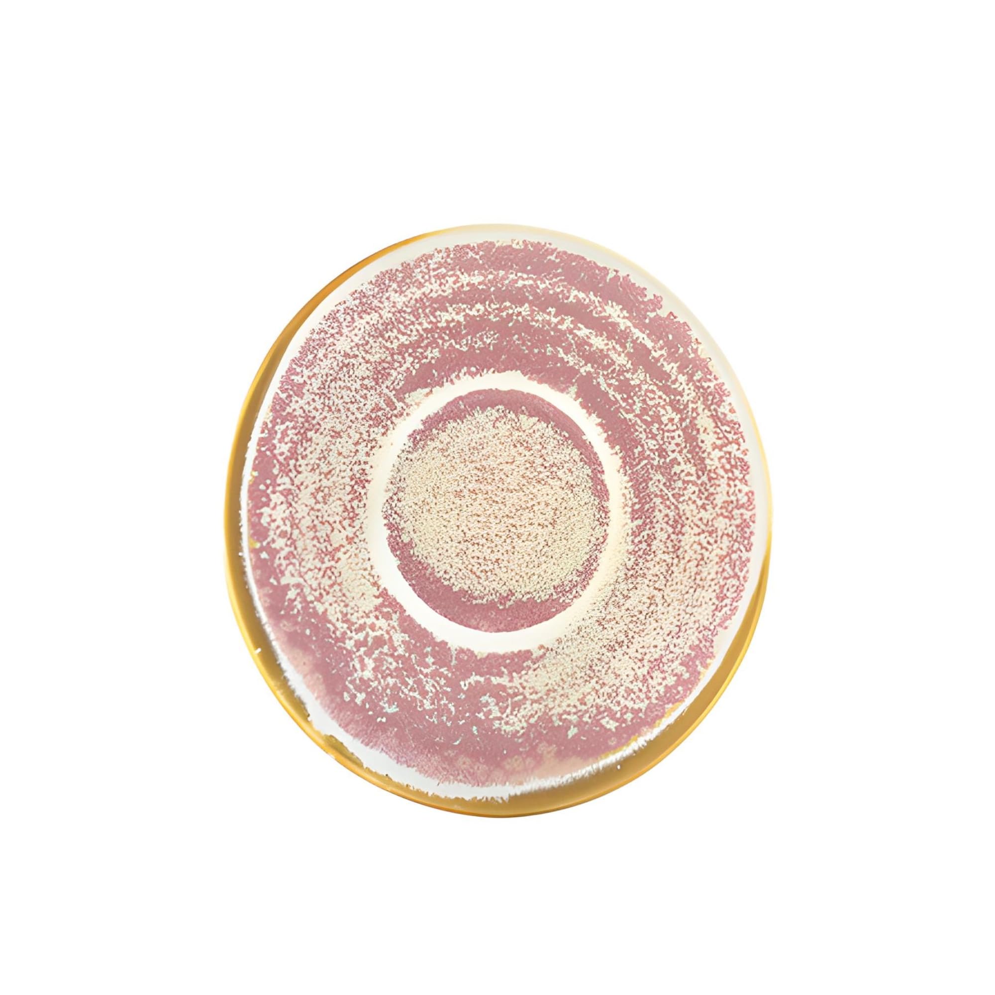 Genware Terra Porcelain, Rose, Saucer, 115mm, SCR-PRS11, Pack of 6, 115 mm Diameter