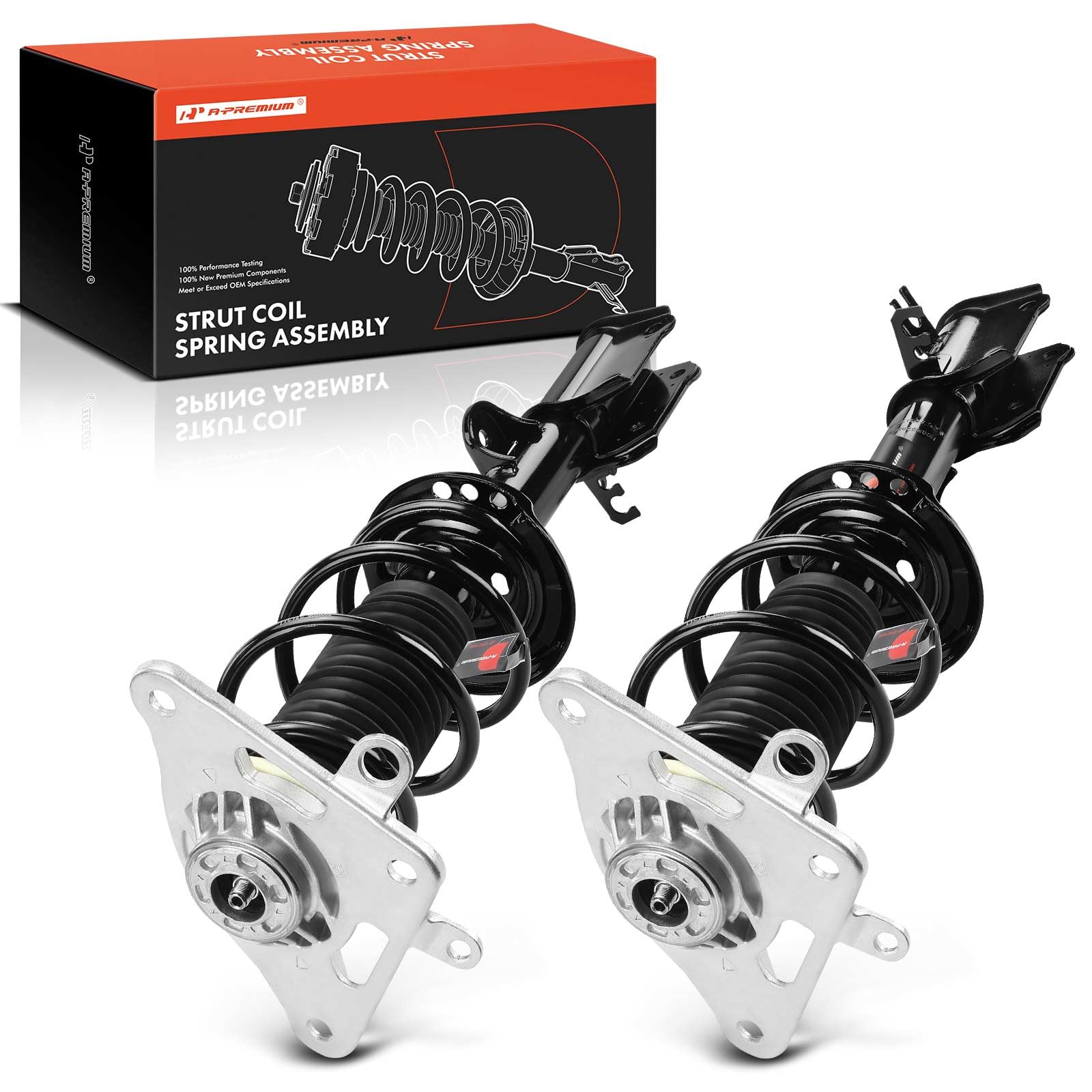 Sugi RMBⅡ R ALD/PJ EGM 2015 Amazon.com: A-Premium Rear Complete Strut and Coil Spring Assembly