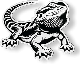 Bearded Dragon Magnet - Car Fridge Locker - 3.5"