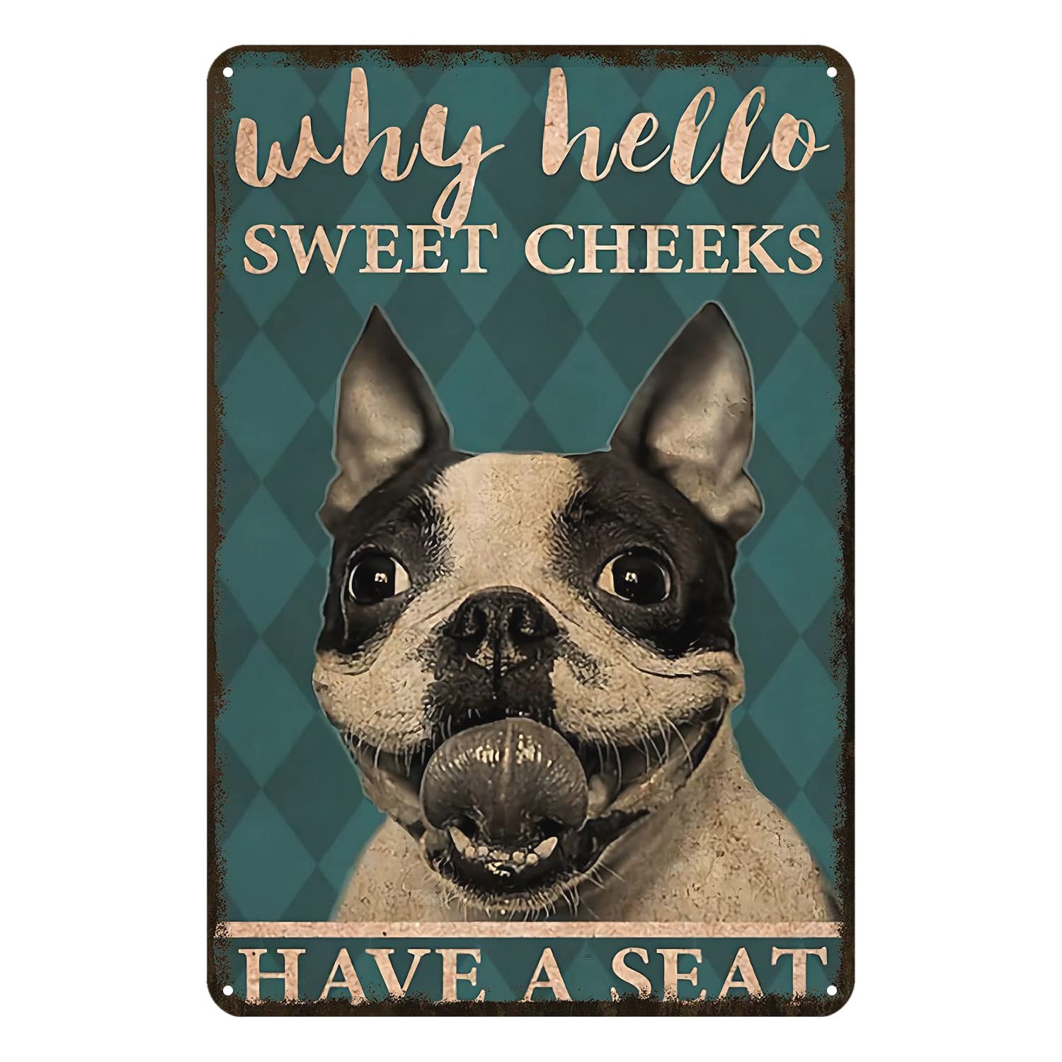 Targa in metallo con scritta in lingua inglese Why Hello Sweet Cheeks Have A Seat, divertente