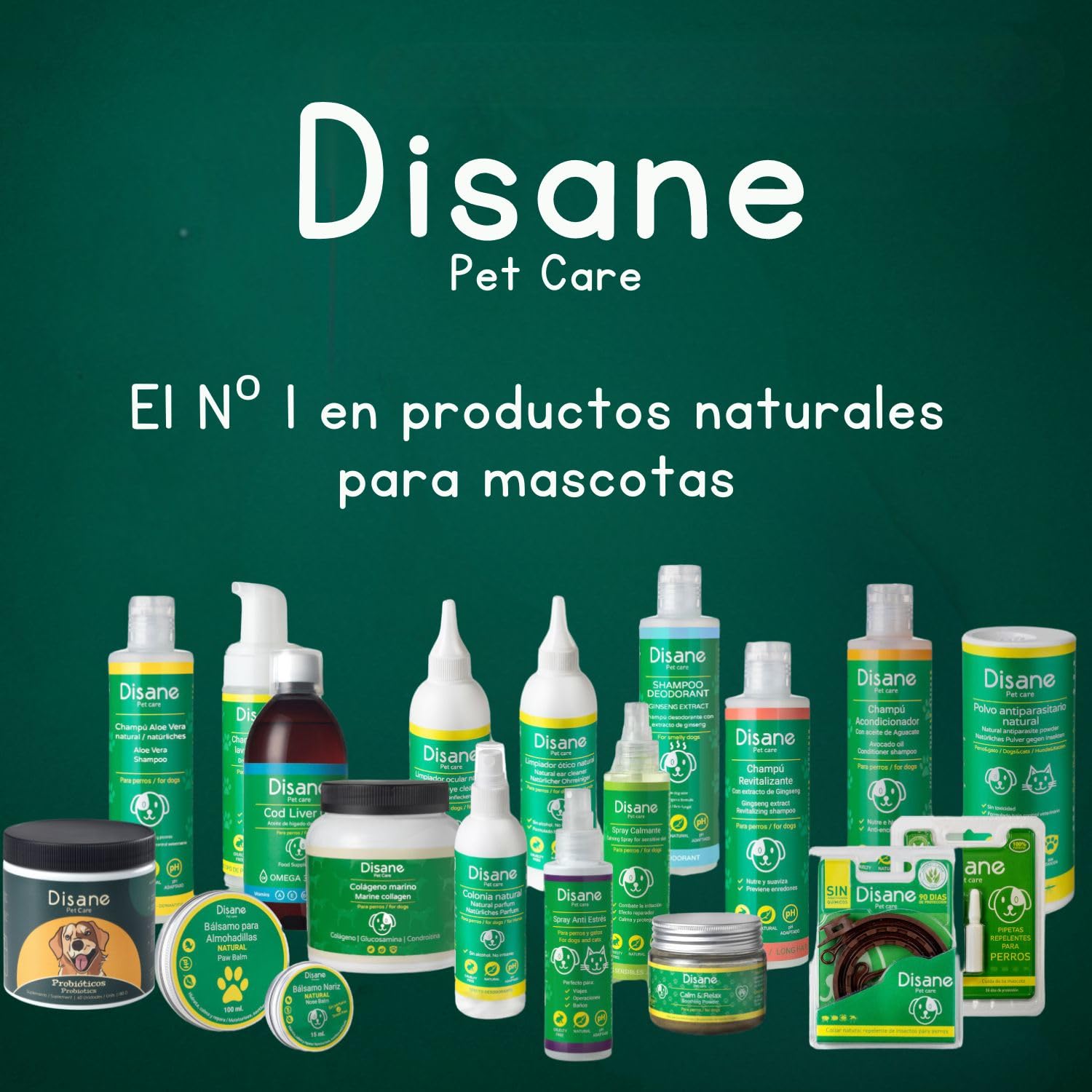 Disane Probióticos para Perros Natural | Complemento Alimenticio para la Mejora de la Flora Intestinal, Bienestar Digestivo, Diarrea, Alergias Antipicores | Sabor Carne | 60 Unidades