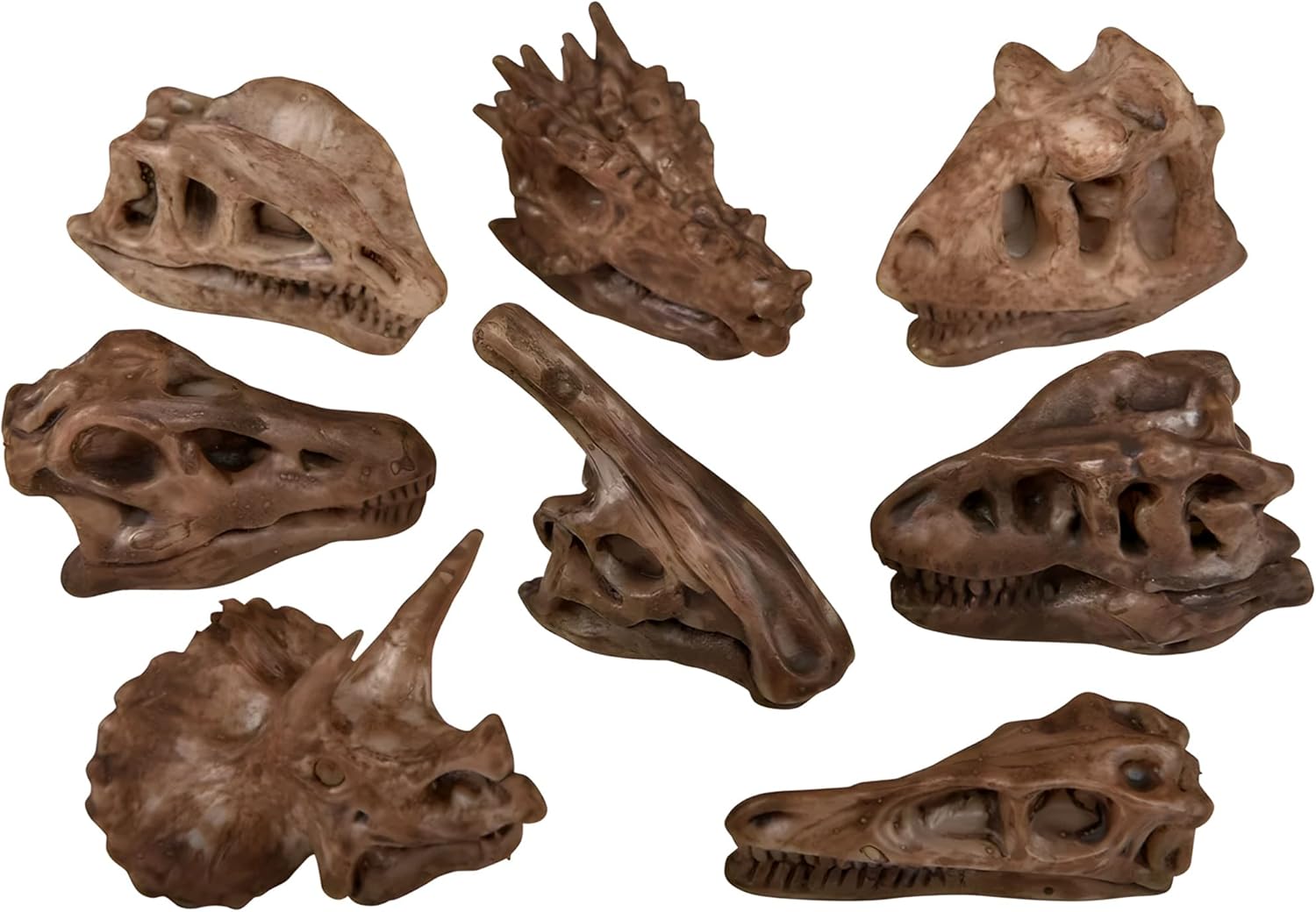 Rhode Island Novelty 2" Dinosaur Fossil Pencil Top