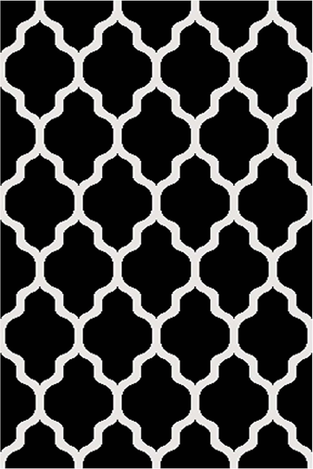 BEOMES, Indoor/Outdoor Rug, All Weather & UV Resistant (4 x 6, Morrocon-Black)