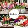 Product Photo 2