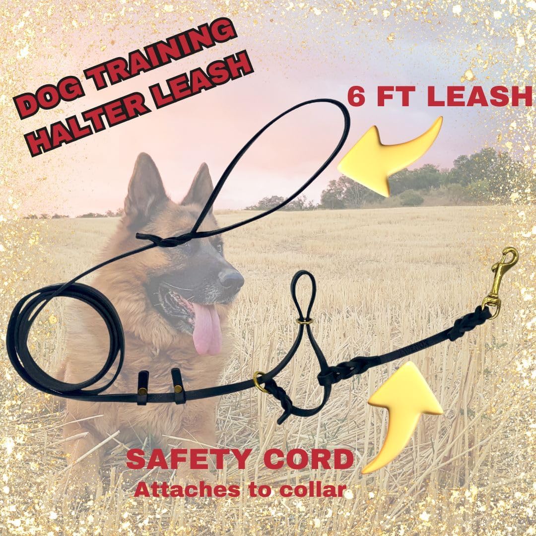 Ravenox Artisan Leather Dog Training Halter & Leash | Premium No-Pull Solution for Effective, Calm, & Comfortable Training | Black & Burgundy Options