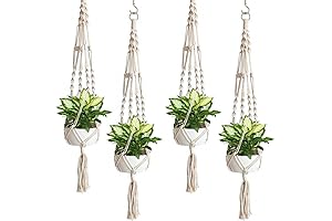 Sorbus Macrame Plant Hangers: Elevate Your Greenery