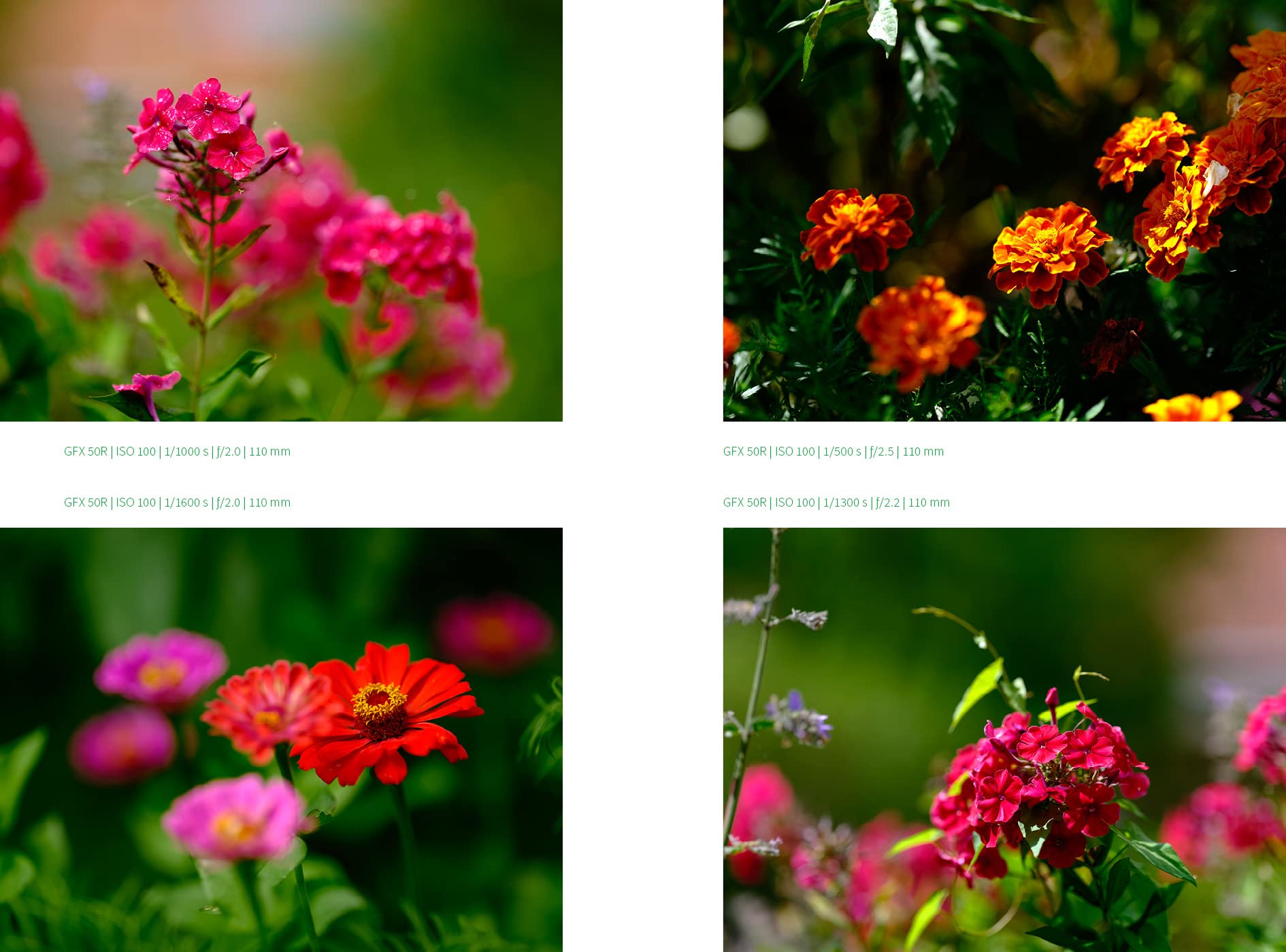33 JPEG-Rezepte für Fujifilm X-Kameras: mit JPG einzigartige Bildlooks erzeugen