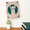 Product Photo 6