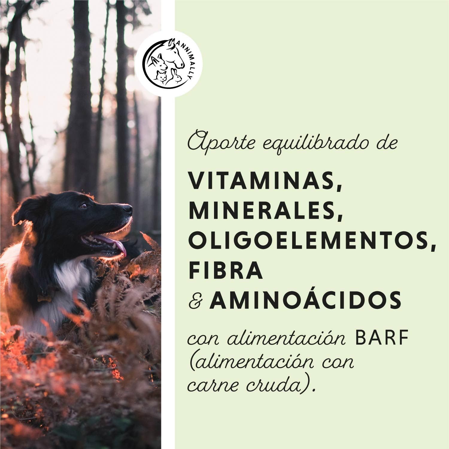 Annimally Barf Polvo Suplemento para Perros 1 kg, Barf Complete Mezcla de Vitaminas y Minerales para una nutrición óptima - Suplemento Alimenticio de Minerales para Perros con Verduras y Vitamina