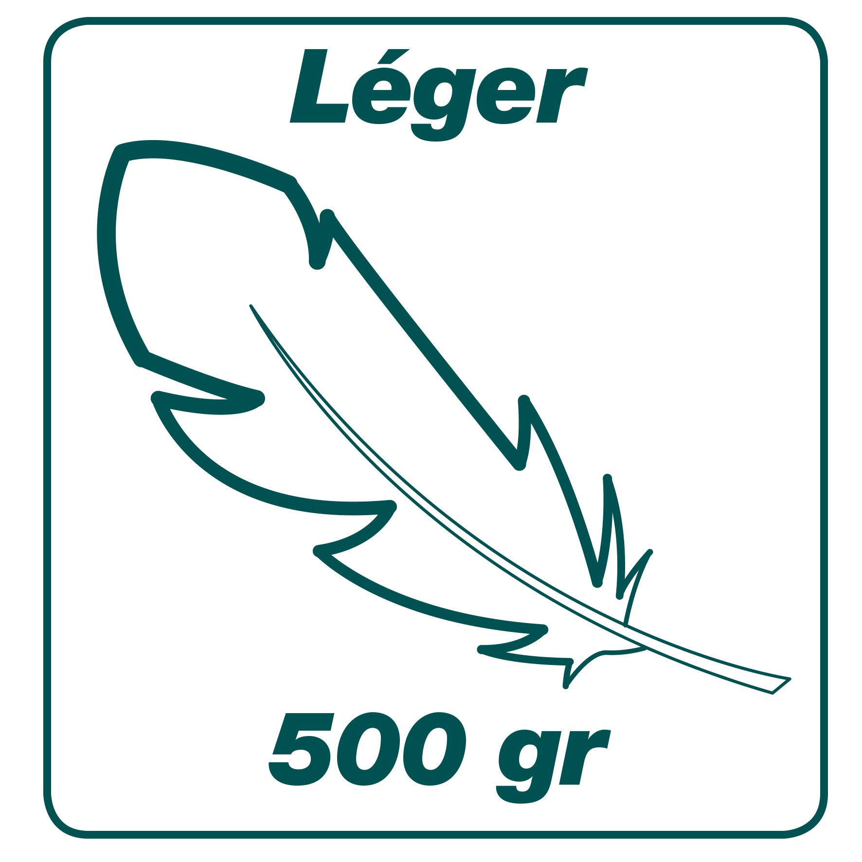 Leborgne, Balai à Gazon Xfil Émousseur 20 dents, Duopro, Manche Bois Certifié PEFC 100% 150 cm, Fixation de la monture polymère en 3 points, Monture en V