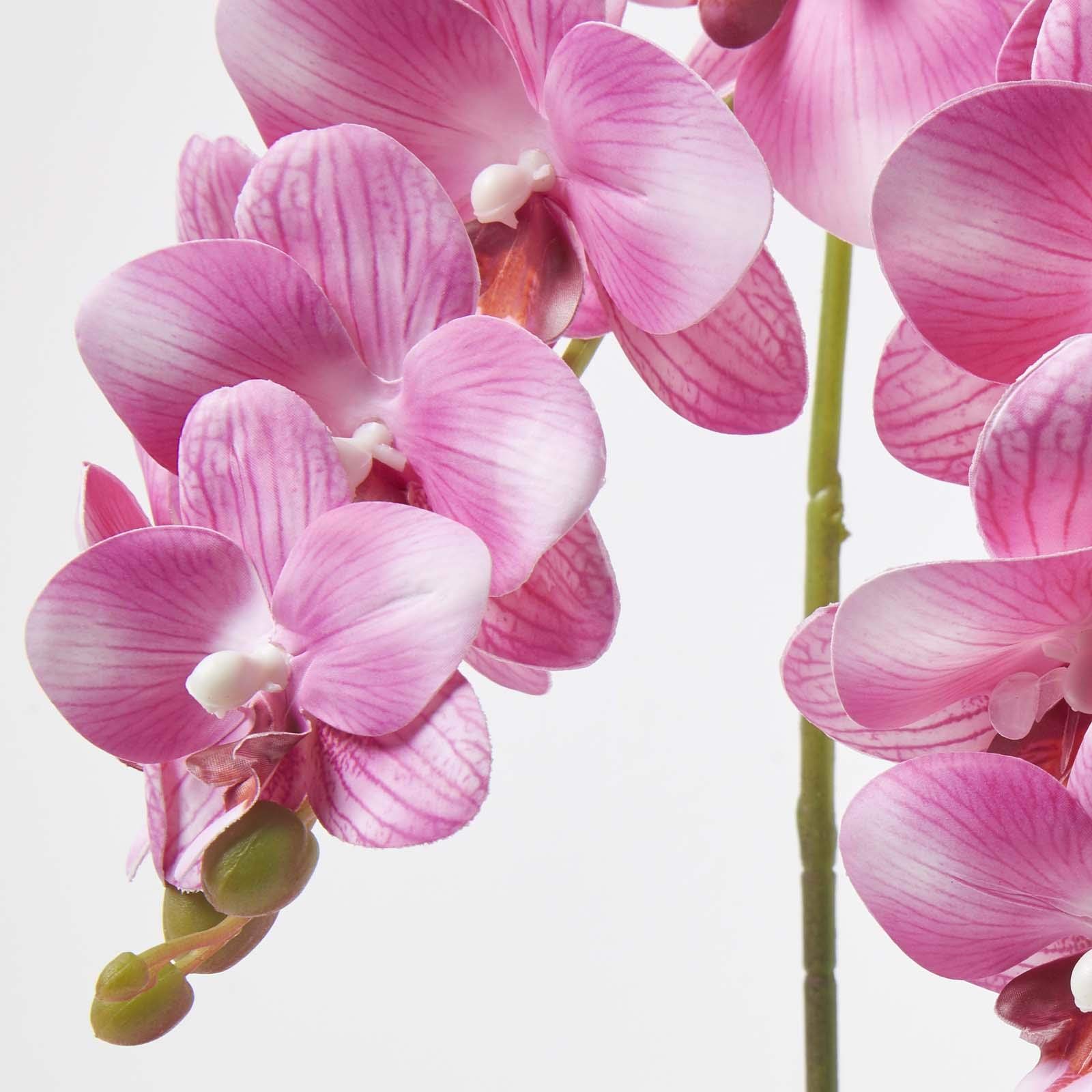 Orchidea artificiale grande in vaso, realistica seta finta rosa