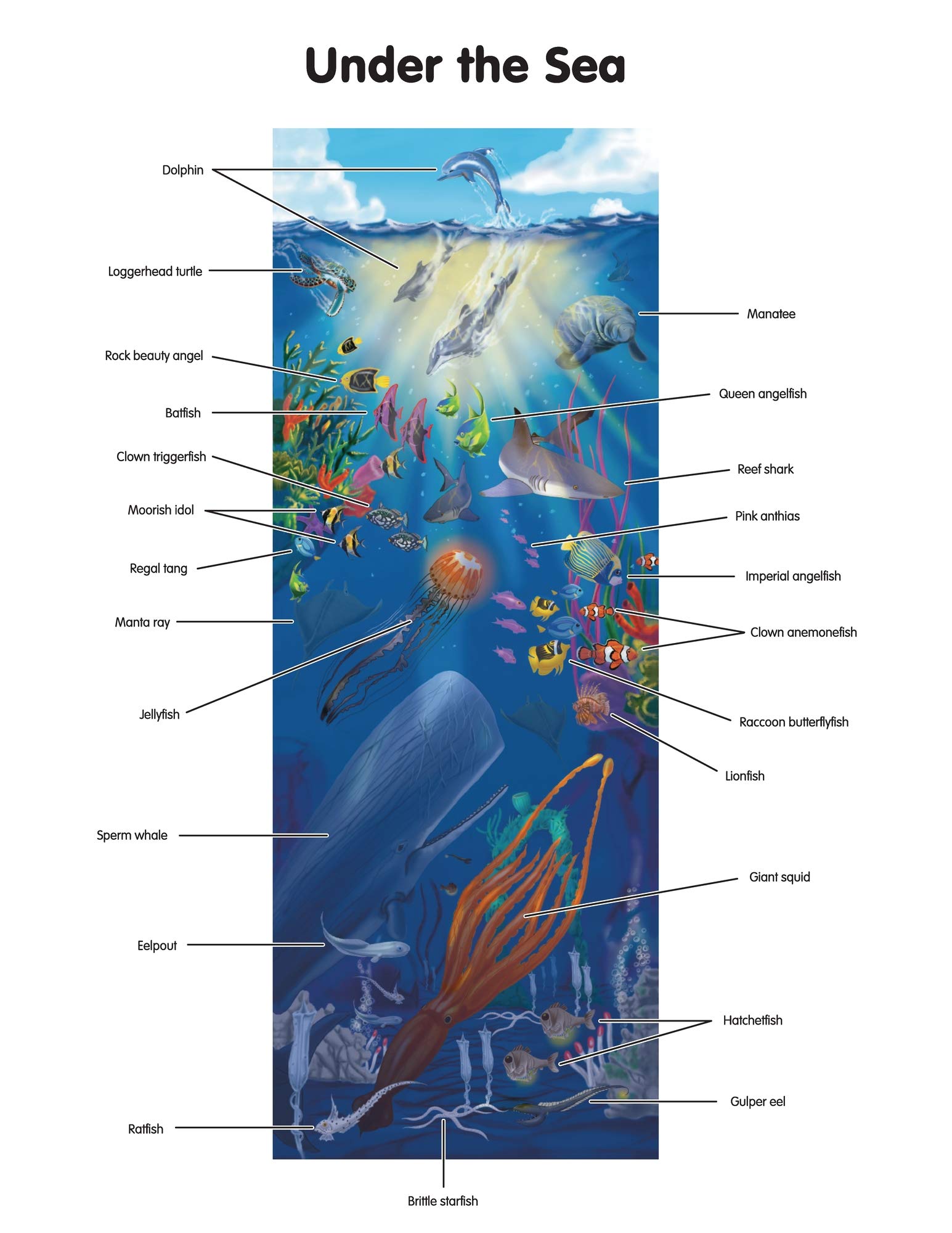 Under The Sea Floor (100 PC): Under The Sea Floor (100 PC)