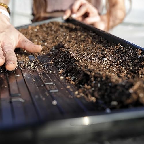 Miniatura 4 de Bootstrap Farmer Microgreen 1020 Bandejas, poco profunda, extra fuerte, paquete de 30 bandejas de semillas con agujeros, forraje para cultivar,