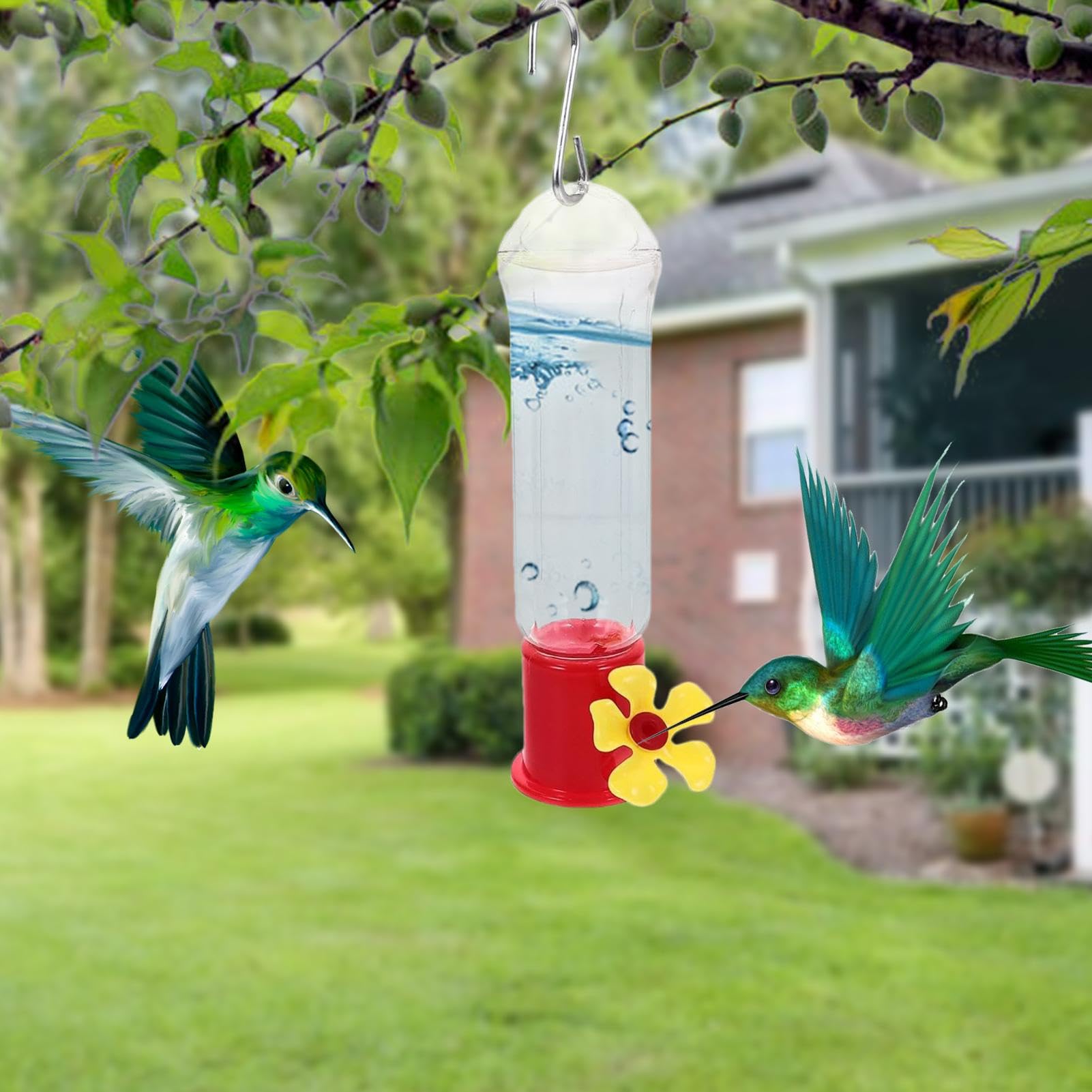 Mangiatoia Per Colibrì Da Finestra 2 Pezzi – Con Fiori Intercambiabili E Nettare, Nature Anywhere, Vista Ravvicinata