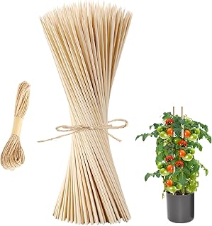 Baoswi 50 Pack 40 cm * 5 mm Bamboo Plant Stakes with 20 Meters of Hemp Rope, Natural Garden Bamboo Sticks, Gardening Plant Supports for Indoor, Floral Plant Support, Garden Potted Plant, Home, Flower Shop, Garden Floral Sticks