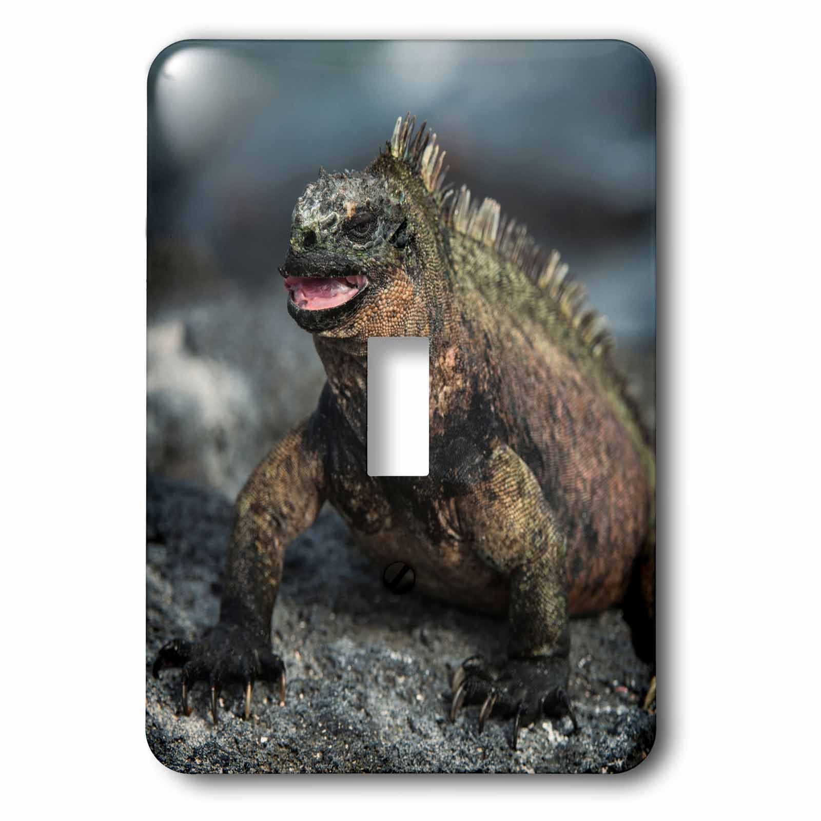 Marine Iguana interrupteur unique pour rénover une pièce nature