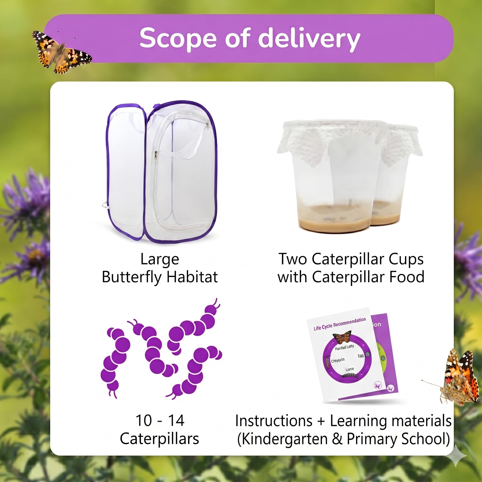 Zestaw do hodowli motyli dla dzieci / dorosłych | Hodowla motyli [ sukcesu] | Krajowe motyle | DARMOWE E-Book + materiały edukacyjne | Hodowla gąsienic w domu od 3 lat - 2 kubeczki