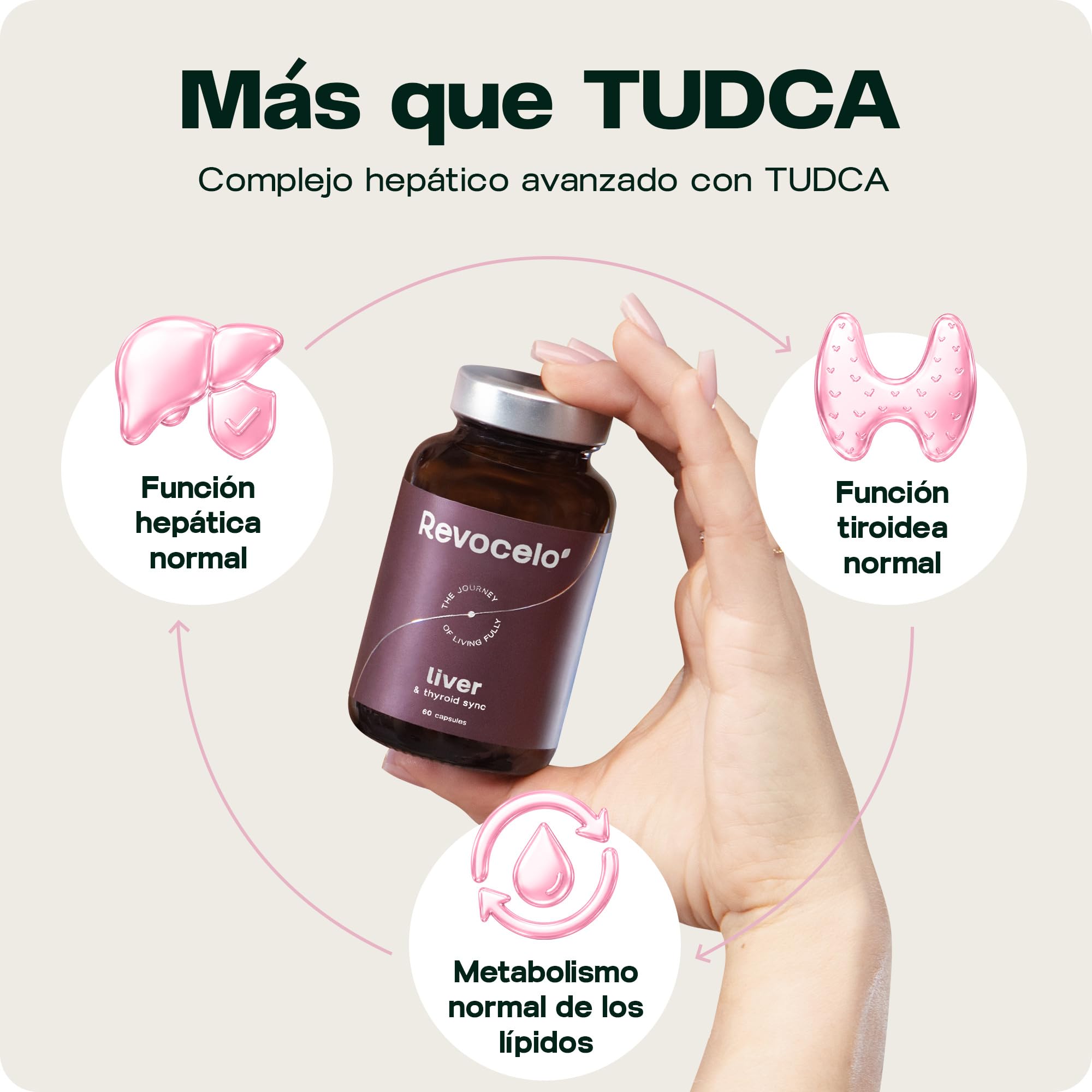 TUDCA 300 mg – Complejo para Hígado y Tiroides