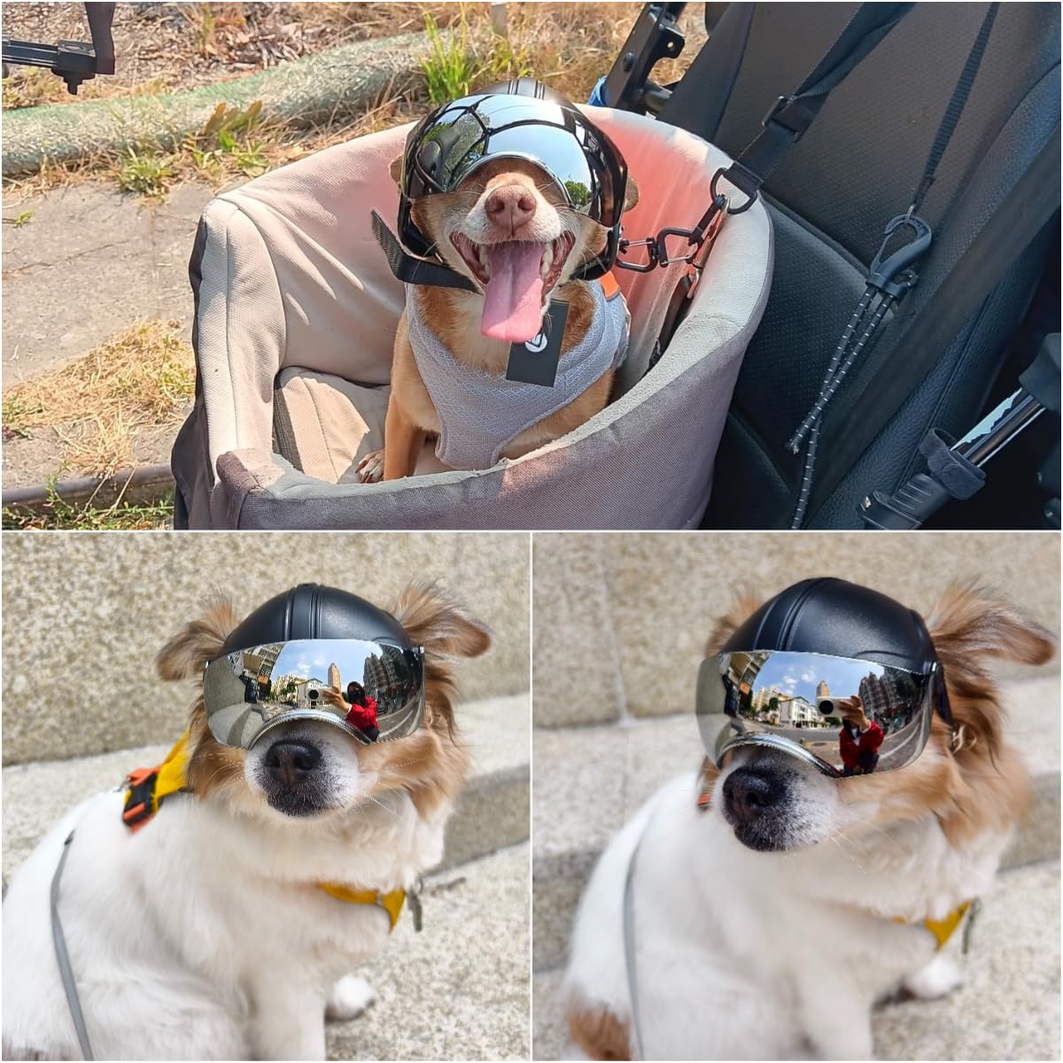 Casque pour chien avec lunettes de soleil anti-UV pour petits chiens, chiots (sans rivets) - Lentilles argentées