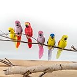 Cartanfill- Feather Parrot Bird Decor 6