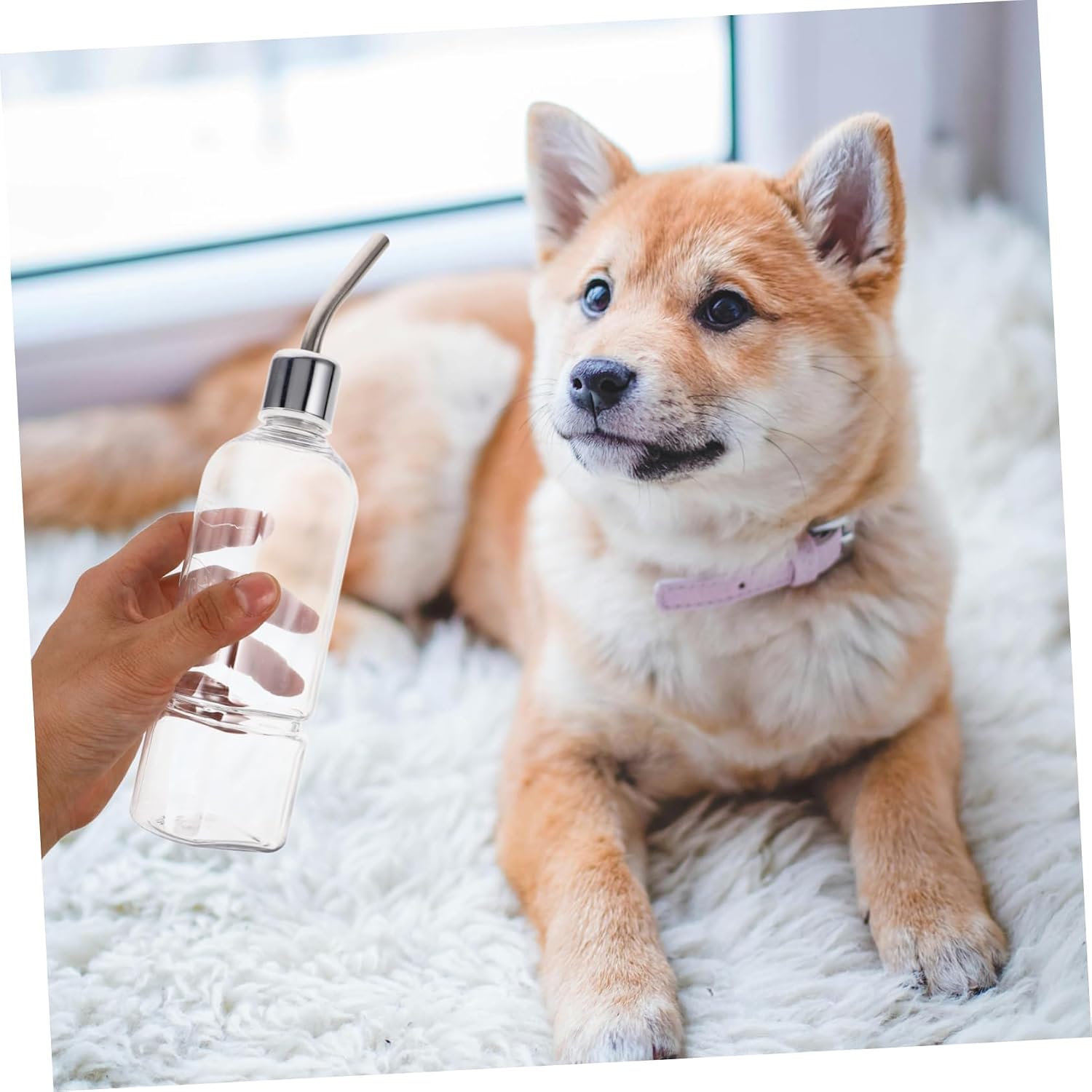 Homoyoyo 2pcs Squirrel Water Feeder Pet Drinking Bottle for Hamsters Chinchillas Guinea Pigs Automatic Leakproof Dispenser for Animals Easy to Install