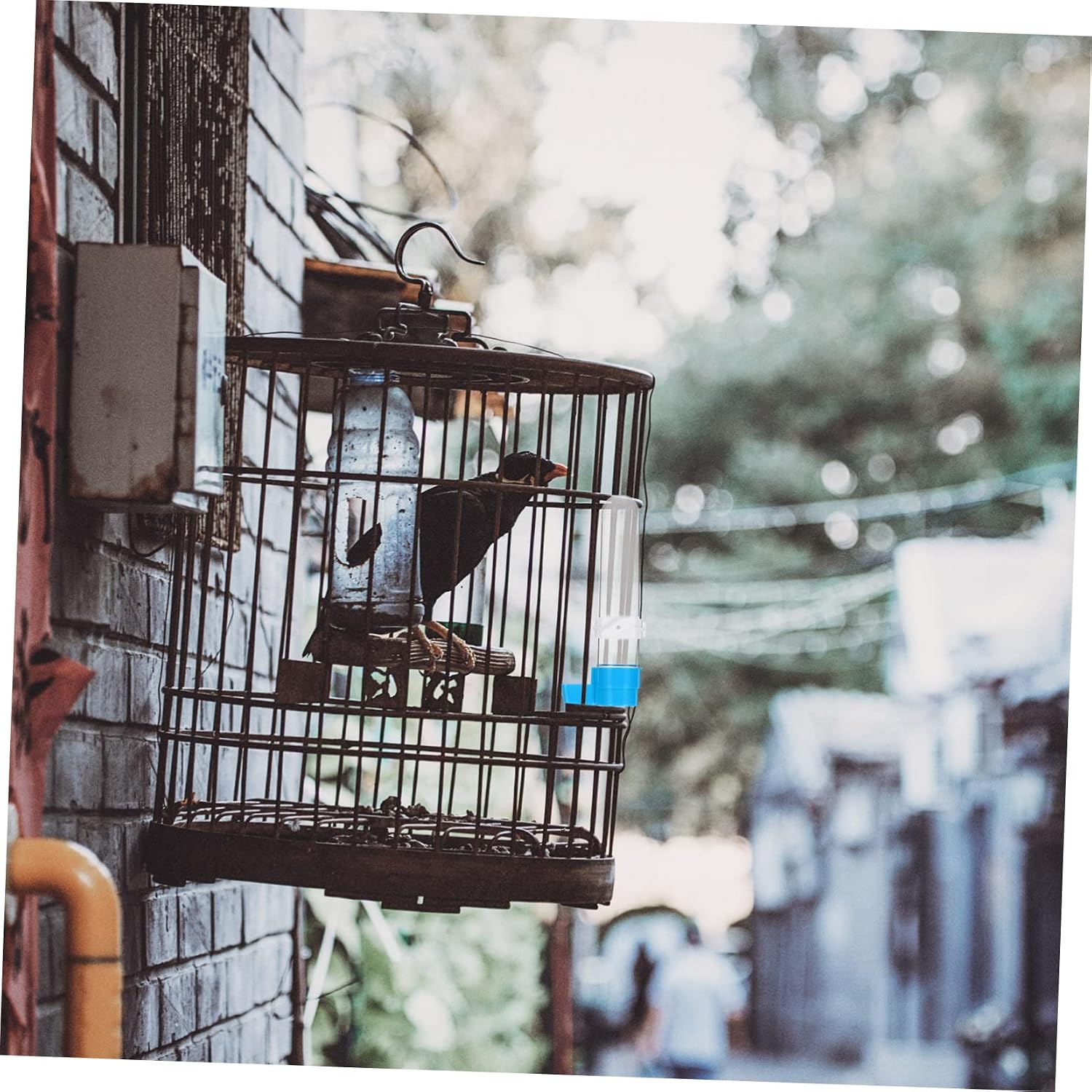 5pcs Automatic Bird Drinking Bottle Safe Plastic Parrot Water Feeder for Cages Easy to Install for Cockatiels Parakeets and Macaws