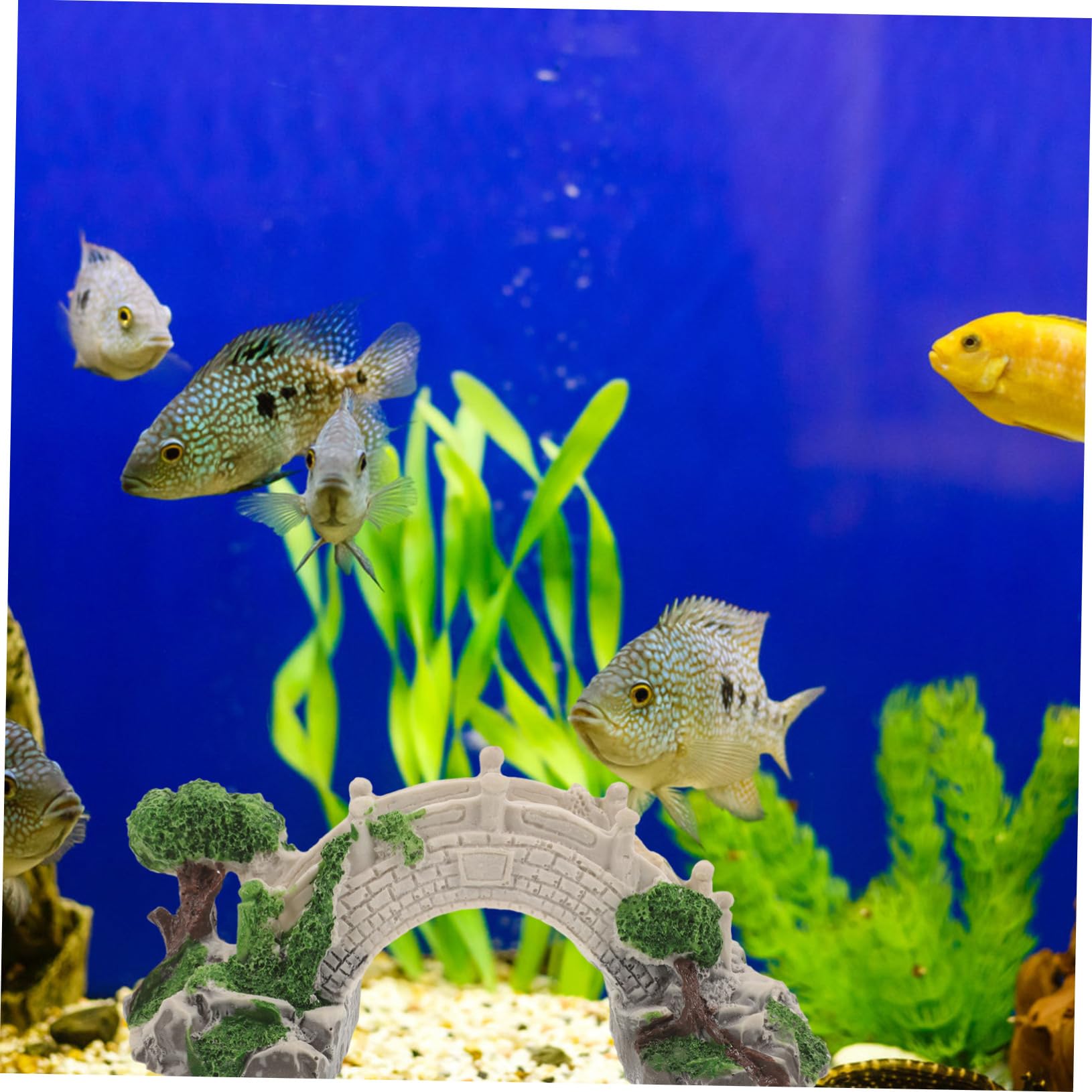 BESPORTBLE Aquarium Decorative Bridge Reptile Bridge Mini Arch Bridge Shelter Turtle Cave Reptile House Fairy Gardens Bridge Fish Tank Decorations Mini Diy Bridge Model Resin Crawl - Image 2