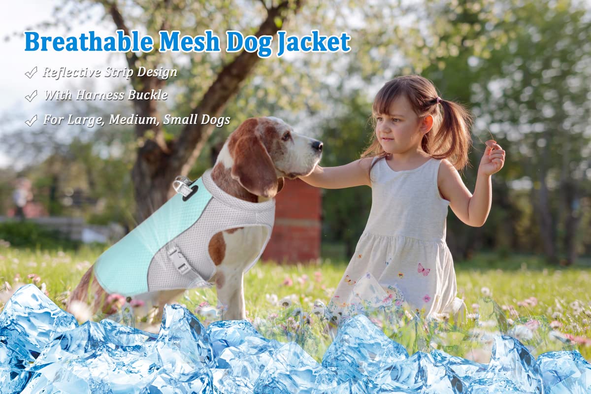 Gilet di raffreddamento per cani Gilet per cani in mesh traspirante Cappotto per cani fresco e confortevole regolabile con strisce riflettenti Adatto per cani grandi medi e piccoli (XL, #New-Blu)