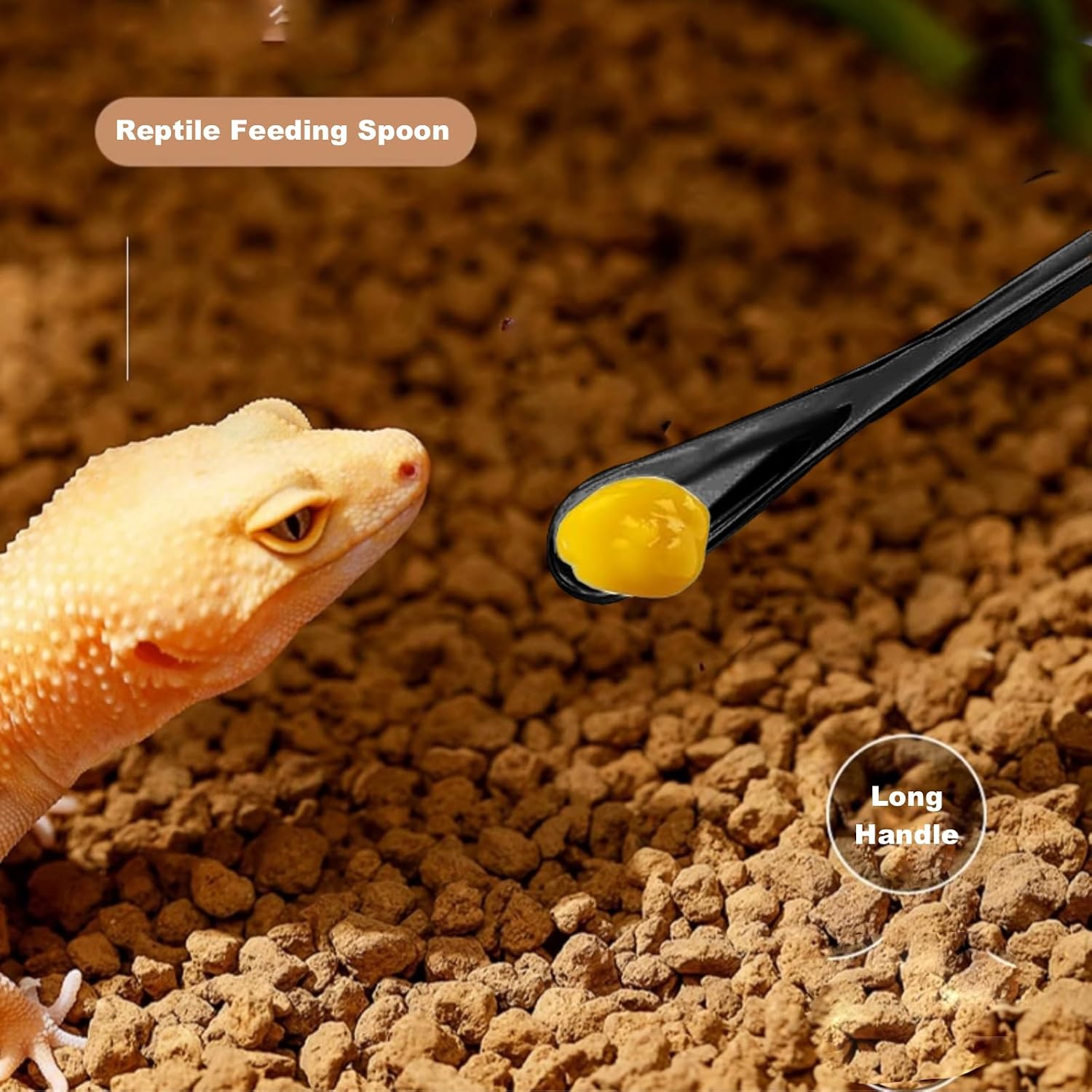 Reptile Long Handle Feeding Tools,2Pcs Aquarium Tweezers with Rubber Tip, 1Pcs Spoon & clamp,Terrarium Aquascape Tools Feeder for Lizards, Bearded Dragon Snake Tank Accessories