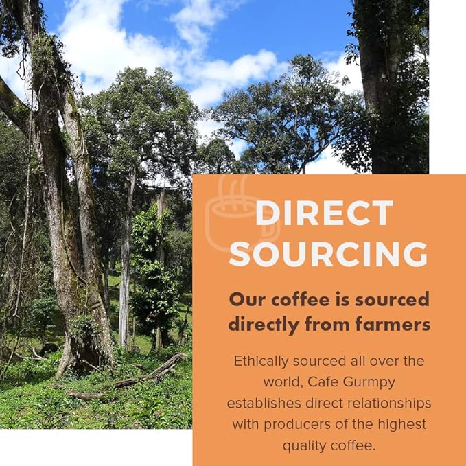 Café Grumpy Etiopía Yirgacheffe Grano Entero 340 g Tueste Medio miniatura 3