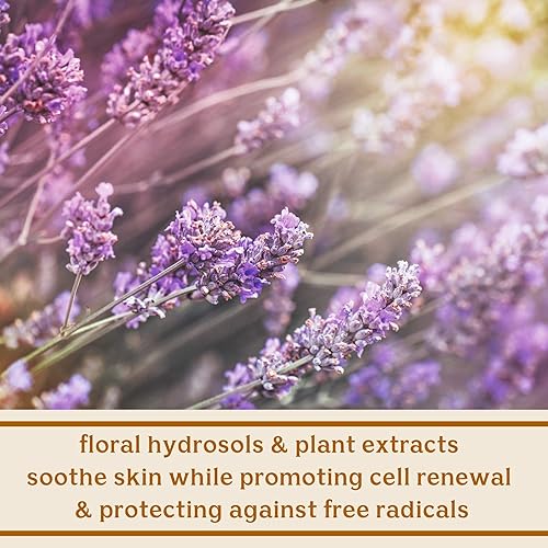 Miniatura 8 de Solluna by Kimberly Snyder Sistema de cuidado de la piel Feel Good - Suero de vitamina C, crema para ojos, limpiador e hidratante, cuidado de la