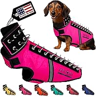 Vista 28 de CoyoteVest SpikeVest - Chaleco de arnés para perro, accesorios reflectantes para perros con picos para proteger a tu mascota de ataques de Raptor
