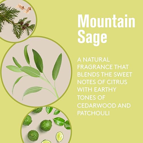 Miniatura 5 de Barrel and Oak - Jabón corporal todo en uno jabón corporal para hombre jabón para cabello cara y cuerpo limpiador refrescante y equilibrado aroma a