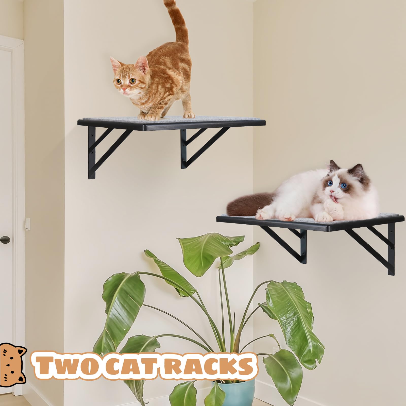 Kratzbäume Katzenregale Wandhalterung Katzenwand Möbel Katzenkratzbaum