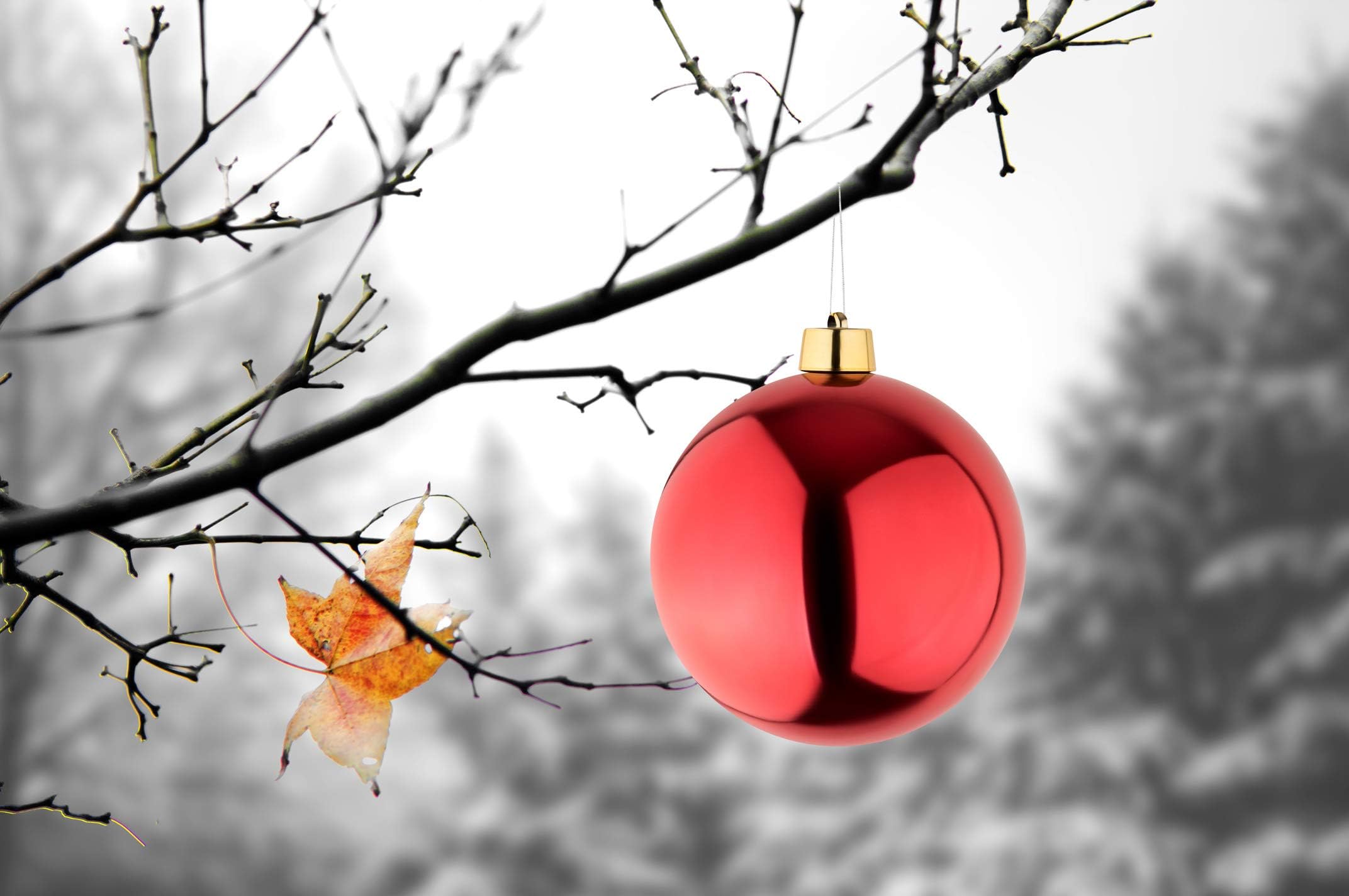 8 große Weihnachtskugeln Christbaumkugel rot glänzend 25 cm Durchmesser. Für Innen und wetterfest für Aussen.Mit Stahlring zur wiederverwendbaren Befestigung (8 Kugeln je 25 x 25 cm)