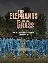 The Elephants and the Grass