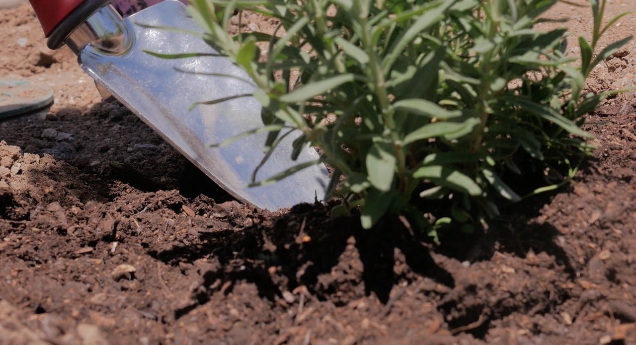 Garden Weasel Trowel – Dig, Cut, & Plant with Ease – Features Triangular Blade, Dependable Aluminiron Construction, Non-Slip Comfort Grip & a : Garden & Outdoor