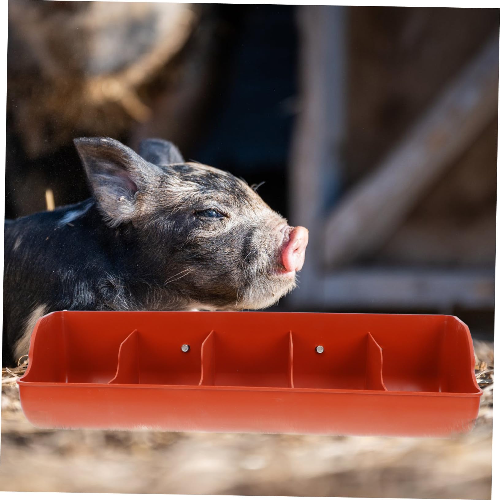 Mangiatoia per Suini in Plastica a 5 Scomparti Marrone Pp | Capienza Ampia, Alta Resistenza All'usura, Smontaggio Semplice, Uso in Fattoria per Altri Animali da Allevamento