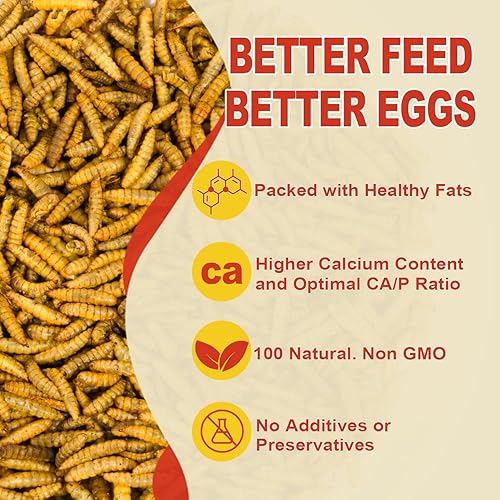 Miniatura 4 de Larvas secas de mosca soldada negra de 11 libras, BSFL es alimento de pollo con alto contenido de proteínas con 85 veces más calcio que los gusanos