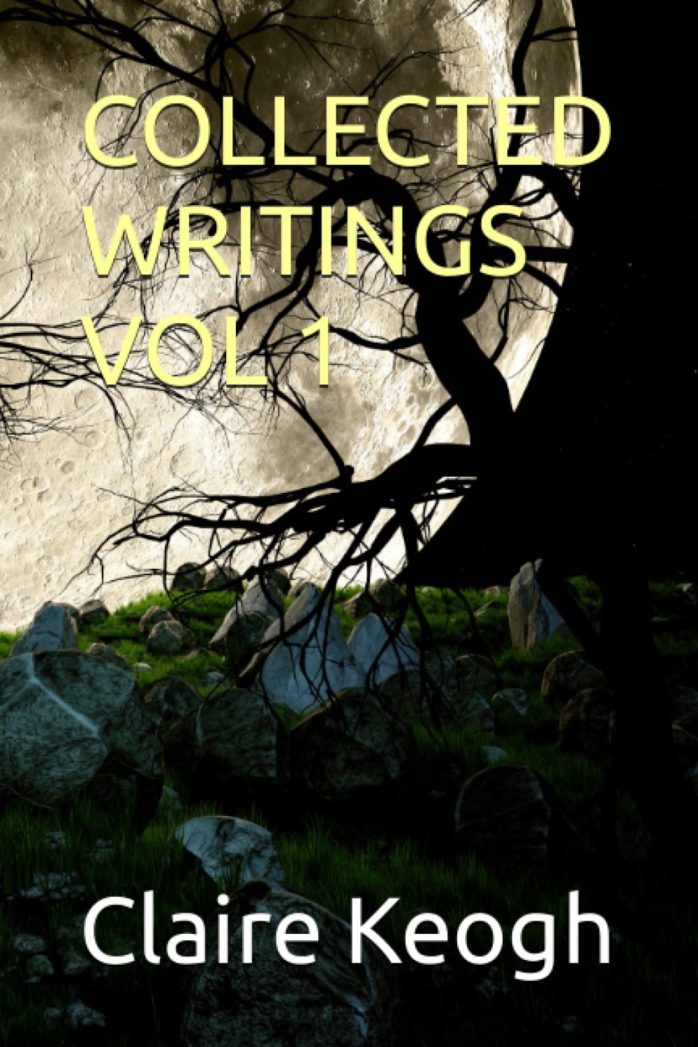 COLLECTED WRITINGS VOL 1