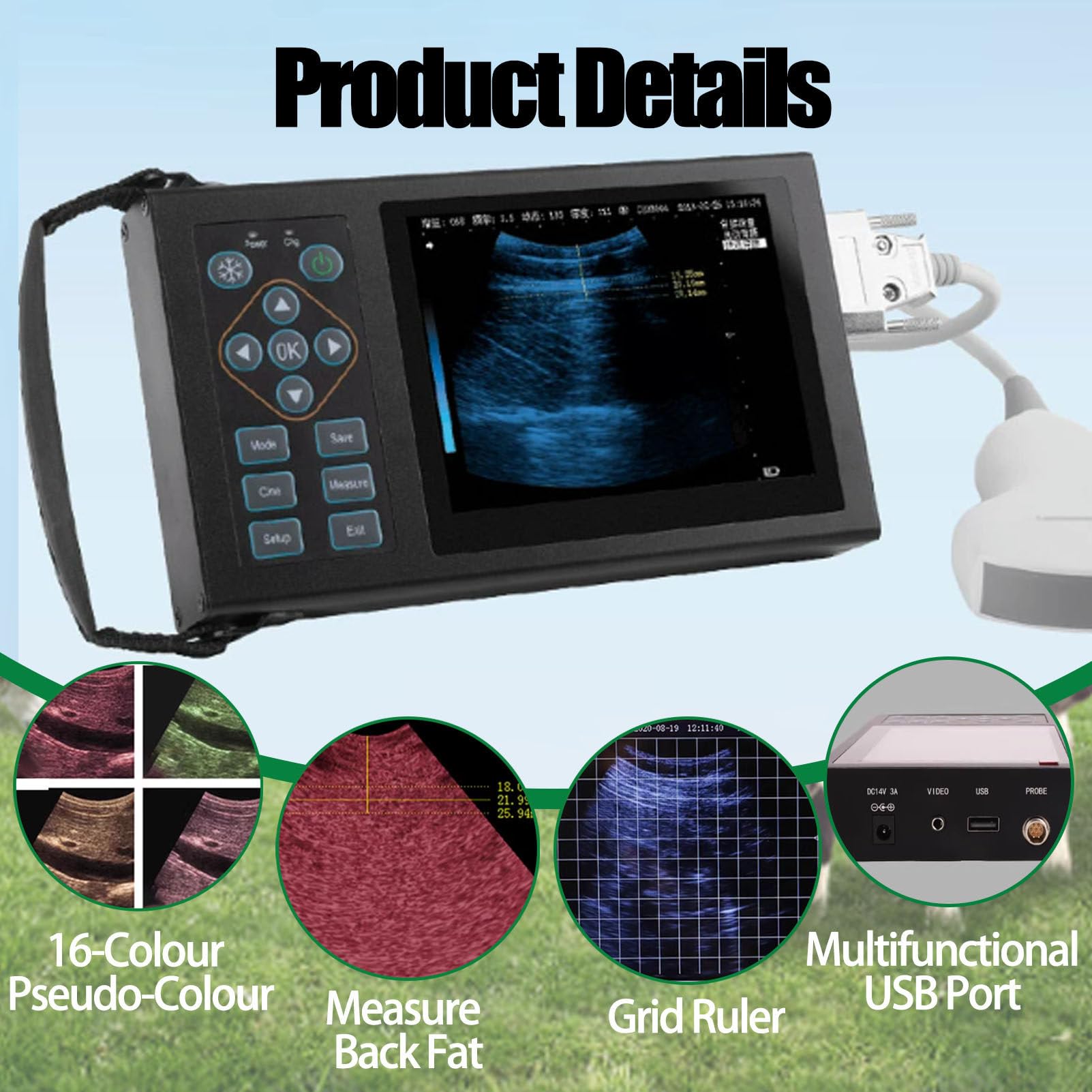 Analizzatore veterinario di ultrasuono con la sonda 3.5/6.5MHz per la diagnostica dell'animale domestico e del bestiame, portatile e facile da usare per l'imaging veterinario accurato