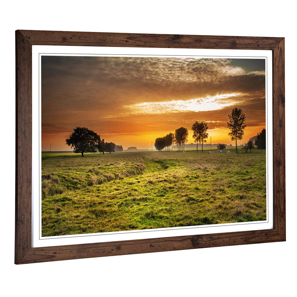 Big Box Art Framed Print of Landscape Summer Meadow Field (3) Design | Wall Art Picture | Home Decor for Kitchen, Living Room, Bedroom, Hallway, Walnut, A2 / 24.5x18 Inch / 62x45cm