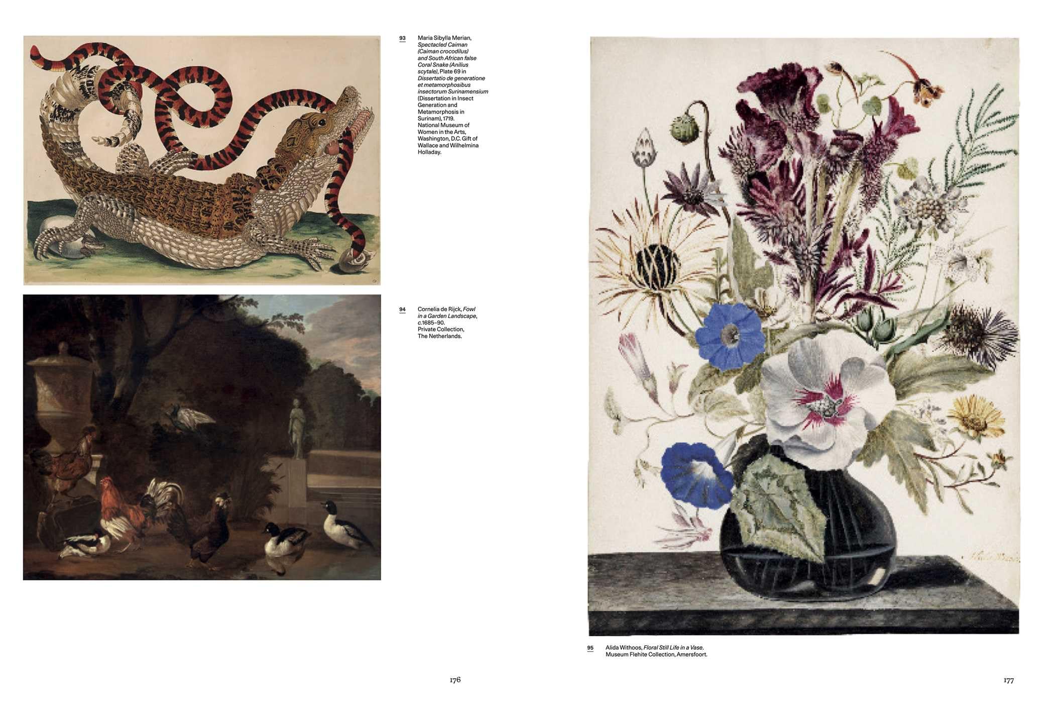 UNFORGETTABLE: Women Artists from Antwerp to Amsterdam, 1600-1750 (ART)