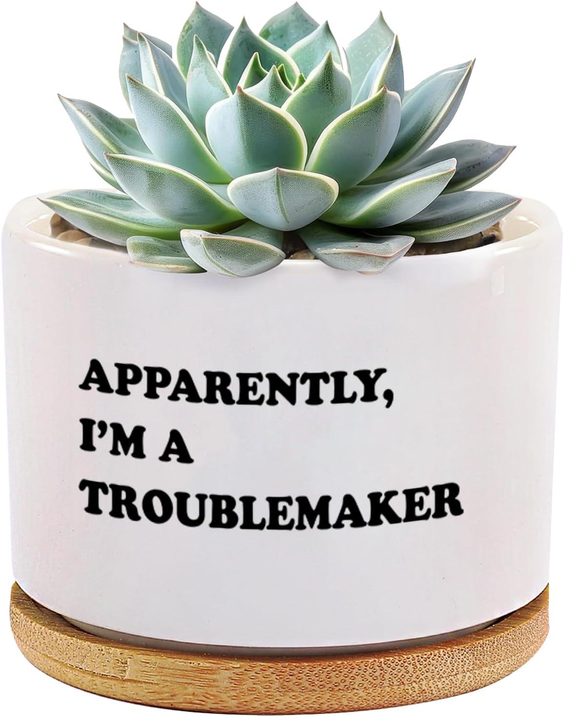 Apparently I'm A Troublemaker Office Gifts Officemates Coworker Gifts Humor Joke Ceramic Succulent Plant Pot with Bamboo Tray Round Home Office Decor 3.5 Inch White