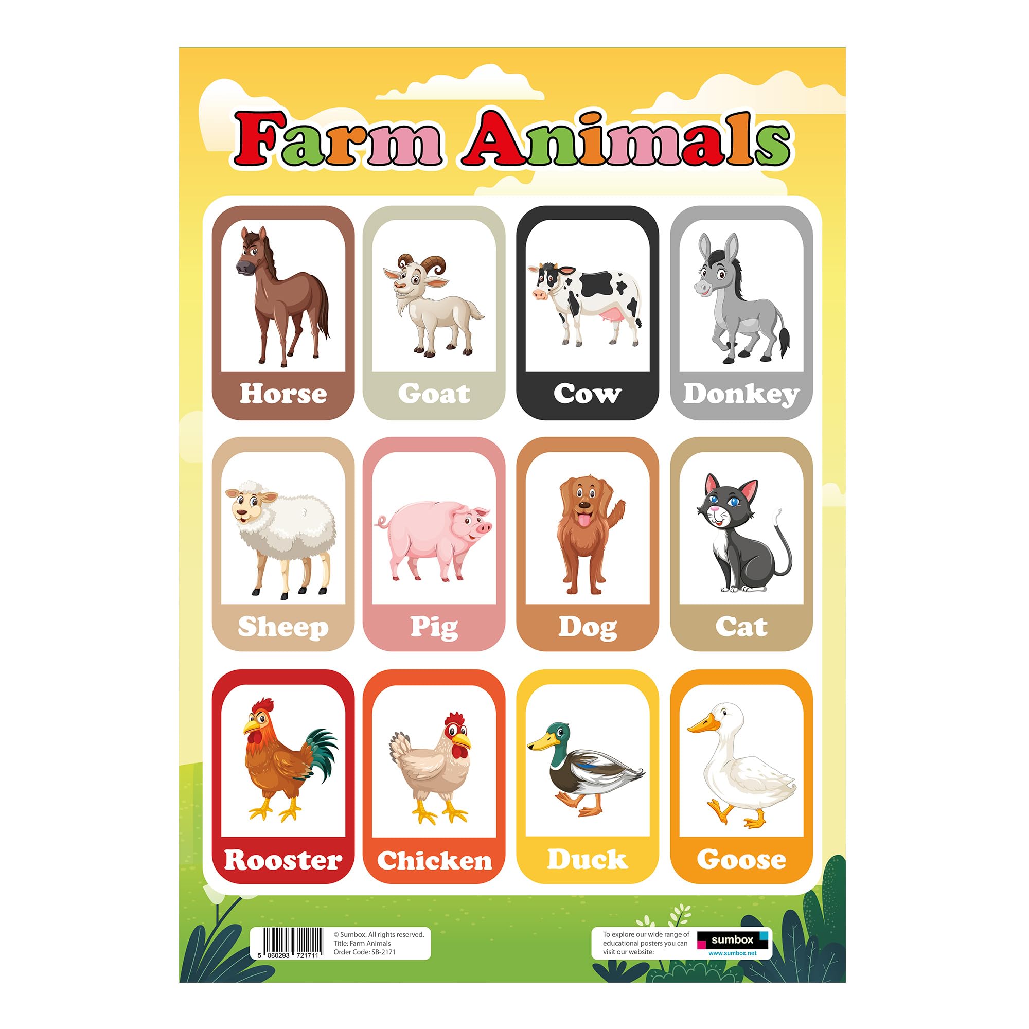 Sumbox Multicoloured Farm Animals Educational Poster A3 Size Early Years Learning Wall Chart For Nursery Classroom Or Home